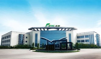 當(dāng)《千與千尋》的哲思遇上生物技術(shù) 看宮崎駿電影長大的孩子如何塑造未來科學(xué)倫理